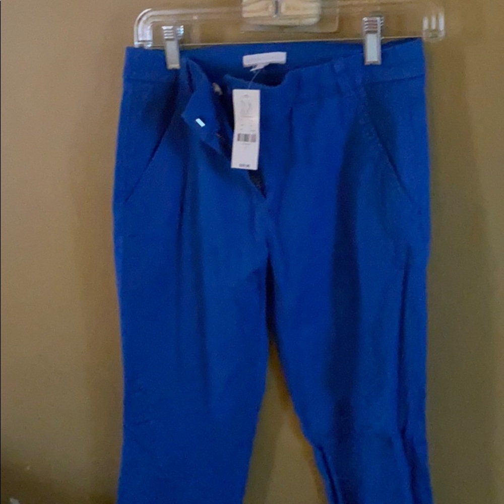 New York & Co Pants